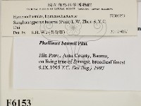 登錄號:F0006153藏品圖，第2張