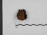 登錄號:F0006154藏品圖，第3張