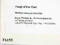 登錄號:F0006155藏品圖，第2張