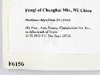 登錄號:F0006156藏品圖，第2張