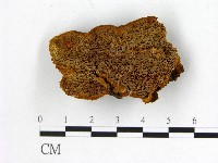 登錄號:F0006156藏品圖，第1張