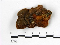 登錄號:F0006156藏品圖，第3張