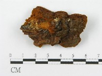 登錄號:F0006156藏品圖，第4張