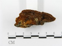 登錄號:F0006156藏品圖，第5張