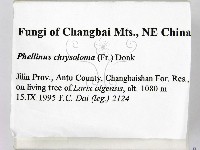 登錄號:F0006157藏品圖，第2張