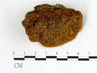 登錄號:F0006157藏品圖，第1張