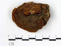 登錄號:F0006157藏品圖，第3張