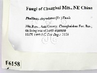 登錄號:F0006158藏品圖，第2張