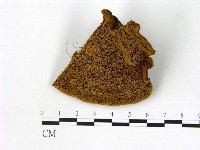 登錄號:F0006158藏品圖，第1張