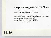 登錄號:F0006159藏品圖，第2張