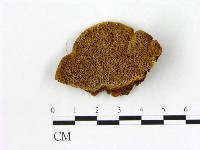 登錄號:F0006159藏品圖，第1張