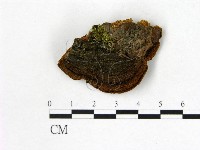 登錄號:F0006159藏品圖，第3張