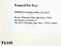 登錄號:F0006160藏品圖，第2張