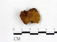 登錄號:F0006160藏品圖，第1張