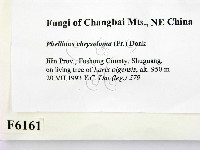 登錄號:F0006161藏品圖，第2張