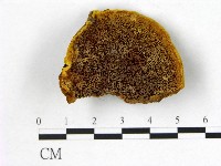 登錄號:F0006161藏品圖，第1張