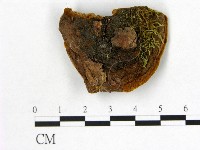 登錄號:F0006161藏品圖，第3張