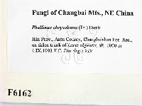 登錄號:F0006162藏品圖，第2張