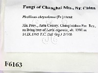 登錄號:F0006163藏品圖，第2張