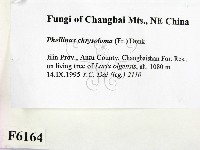 登錄號:F0006164藏品圖，第2張