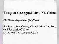 登錄號:F0006166藏品圖，第2張