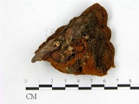 登錄號:F0006166藏品圖，第3張