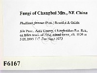 登錄號:F0006167藏品圖，第2張