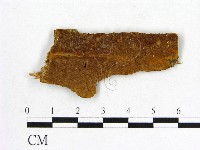 登錄號:F0006167藏品圖，第1張