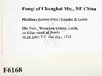 登錄號:F0006168藏品圖，第2張