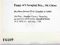 登錄號:F0006169藏品圖，第2張