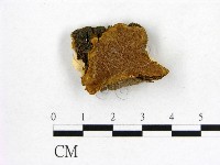 登錄號:F0006169藏品圖，第1張