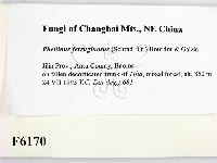 登錄號:F0006170藏品圖，第2張