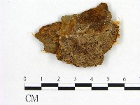 登錄號:F0006170藏品圖，第1張