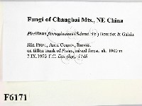 登錄號:F0006171藏品圖，第2張