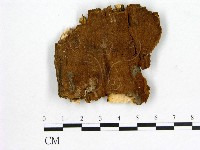 登錄號:F0006171藏品圖，第1張