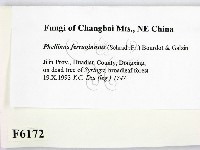 登錄號:F0006172藏品圖，第2張