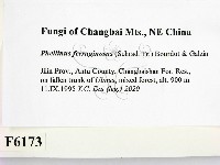 登錄號:F0006173藏品圖，第2張