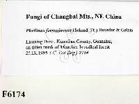 登錄號:F0006174藏品圖，第2張