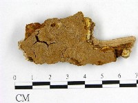 登錄號:F0006174藏品圖，第1張