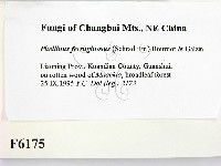 登錄號:F0006175藏品圖，第2張