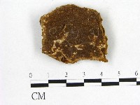 登錄號:F0006175藏品圖，第1張