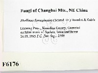 登錄號:F0006176藏品圖，第2張