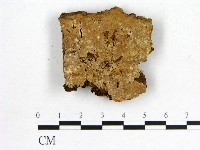 登錄號:F0006176藏品圖，第1張