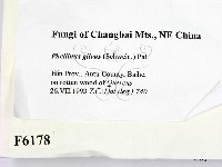 登錄號:F0006178藏品圖，第2張