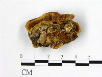 登錄號:F0006178藏品圖，第1張