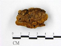 登錄號:F0006178藏品圖，第3張