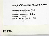 登錄號:F0006179藏品圖，第2張