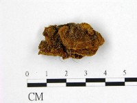 登錄號:F0006179藏品圖，第3張