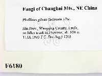 登錄號:F0006180藏品圖，第2張