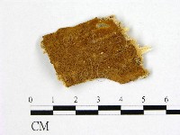 登錄號:F0006180藏品圖，第1張